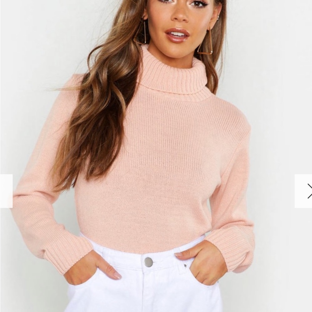 Blush Turtleneck Knit Sweater